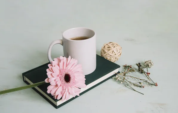 Picture Flower, Book, Gerbera, Tea