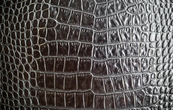 Picture Black, Leather, Texture