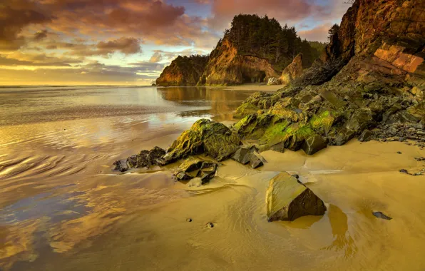 Picture sea, stones, rocks, shore, Oregon, USA