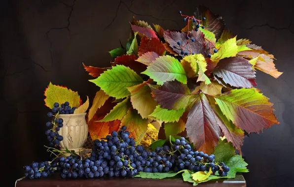 Picture leaves, berries, grapes, bunches