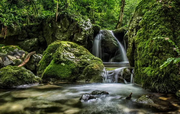 Picture forest, nature, stones, waterfall, moss, stream