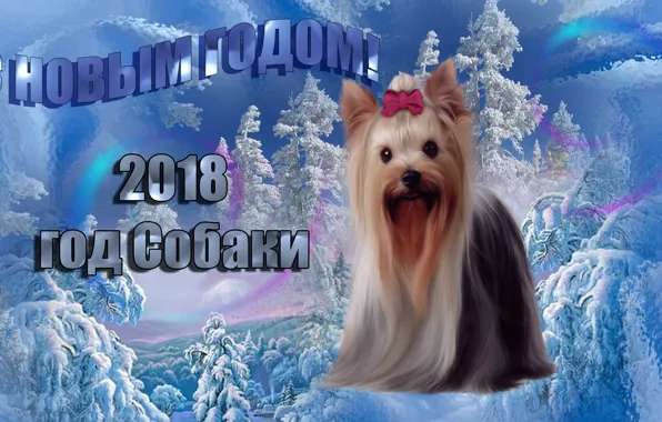 Picture winter, mood, holiday, new year, 2018, the year of the dog