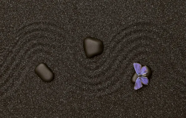 Picture sand, butterfly, stone, texture