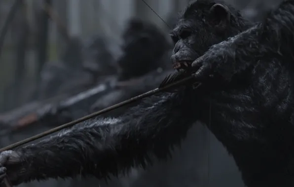 Picture monkey, bow, warrior, arrow, florest, war paint, saru, War for the Planet of the Apes, …