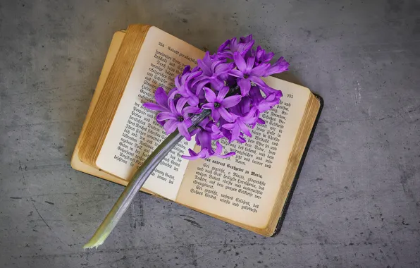 Picture flowers, text, retro, sprig, grey, background, purple, book, lilac, composition, hyacinths