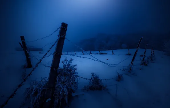 Picture winter, snow, night, the fence