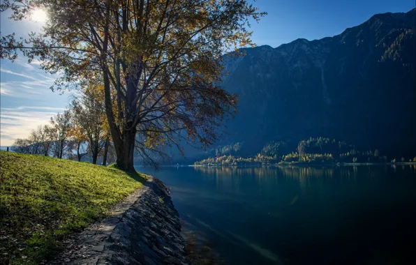 Picture autumn, mountains, lake, tree, Austria, Buchau