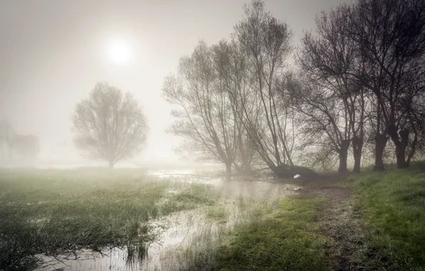 Picture fog, river, morning