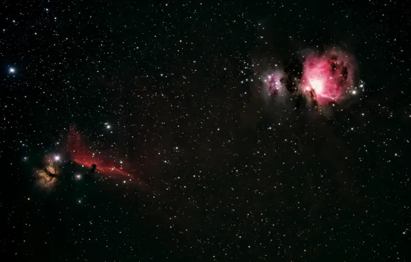 Picture space, stars, Orion, Horsehead