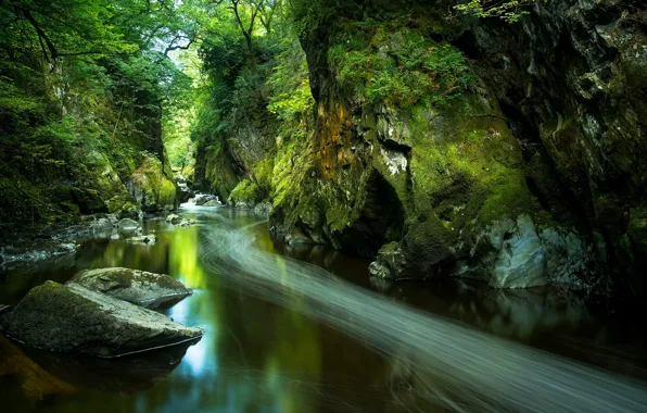 Picture greens, river, stones, rocks, England, England, Wales, Wales, Snowdonia National Park, Snowdonia, River Conwy, Betws-y-Coed, …
