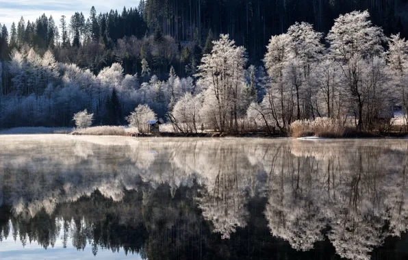 Picture winter, lake, morning