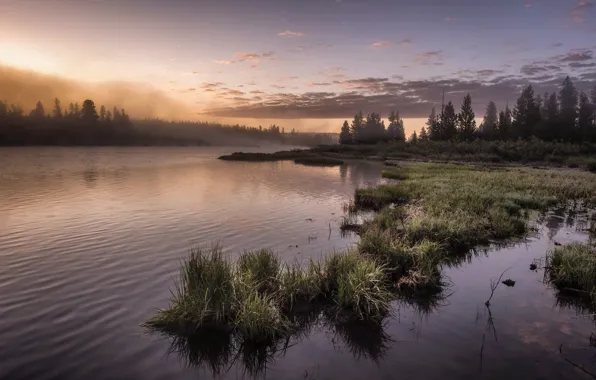 Picture nature, fog, lake