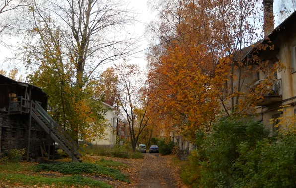 Picture autumn, falling leaves, patio, Petrozavodsk