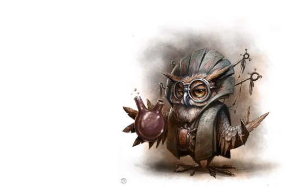 Picture owl, art, Illustrator, children's, the alchemist, As Tomek, Owl Wizard - personal work