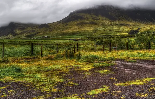 Picture greens, grass, clouds, mountains, fog, field, HDR, Iceland, the bushes, plantation, fencing, areas, Thorsmork National …