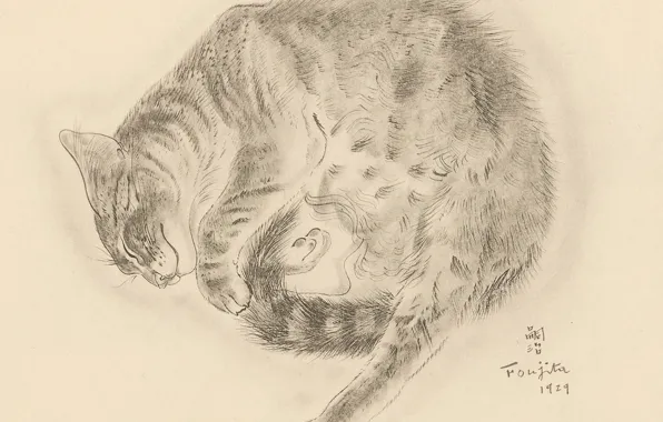 Picture cat, sleeping, fluffy, 1929, ulybaetsya, Tsuguharu, Fujita, The Book Of Cats