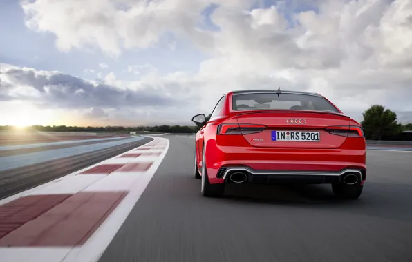 Picture Audi, German, Red, Race, Speed, RS5, 2018, Track, Drive, RS, A5