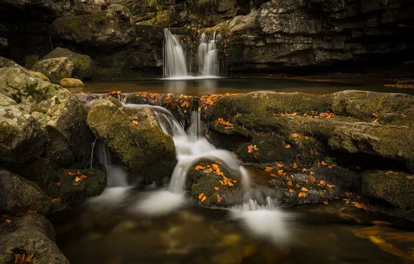 Picture autumn, leaves, nature, stones, waterfall