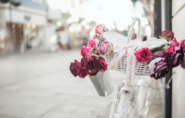 Picture flowers, bike, street, basket, romance, roses