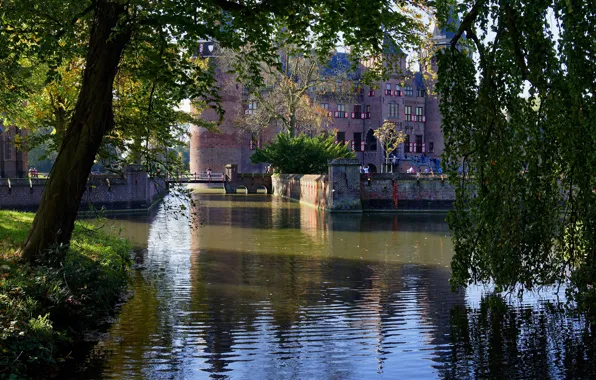 Picture the sun, trees, branches, pond, Park, castle, foliage, Netherlands, De Haar Castle