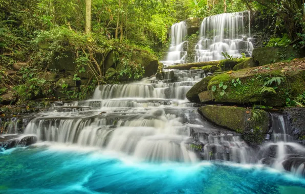 Picture forest, river, waterfall, forest, river, landscape, jungle, beautiful, waterfall, tropical