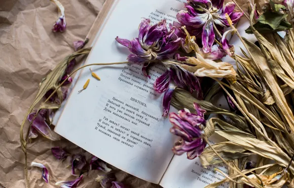 Picture flowers, tulips, book, poems