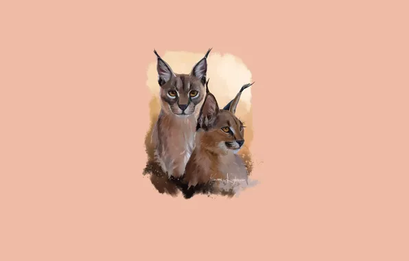 Picture pair, ears, caracals