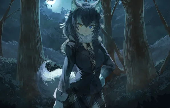 Picture forest, girl, trees, night, ears, anime, art, ponytail, korus of, kemono friends, gray wolf