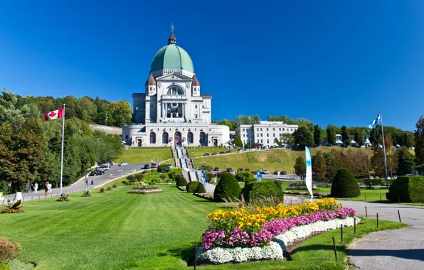 Picture the sun, trees, lawn, Canada, ladder, Cathedral, temple, Canada, Montreal, Lawn, Temples, Shrub