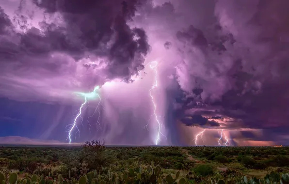Picture the sky, clouds, clouds, zipper, lightning, desert, cacti