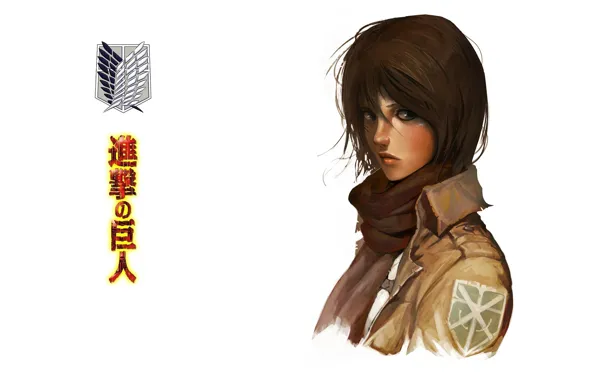 Picture look, characters, white background, emblem, military uniform, Shingeki no Kyojin, Mikasa Ackerman, red scarf, The …