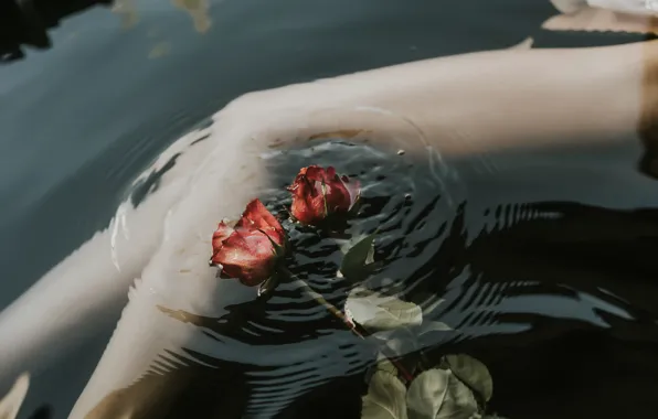 Picture water, roses, legs, Andrea Pi