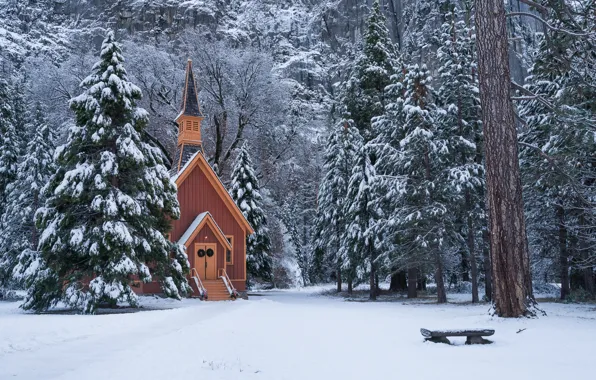 Picture winter, forest, snow, trees, ate, CA, Yosemite, chapel, California, Yosemite national Park, Yosemite National Park