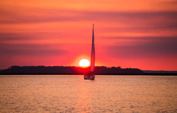 Picture sunset, coast, the evening, yacht, sail