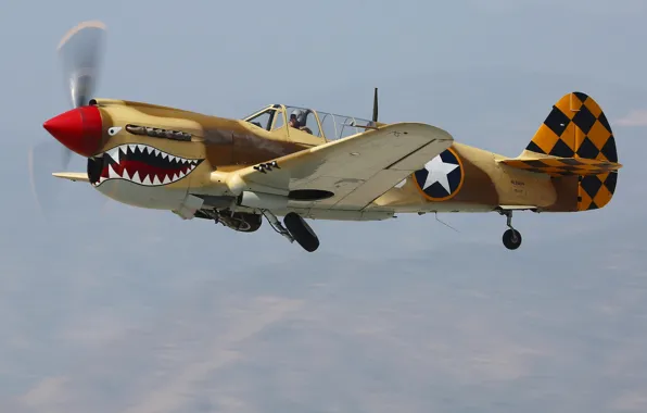 Picture fighter, cabin, pilot, Curtiss P-40