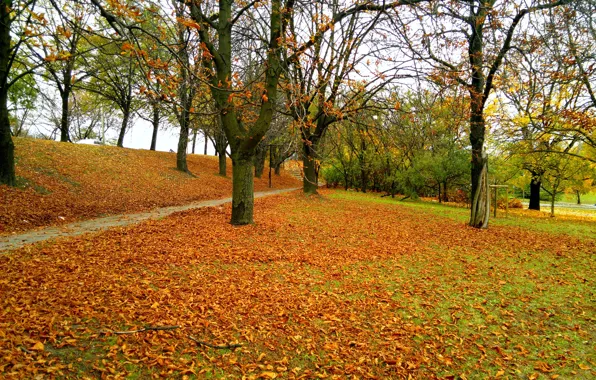 Picture Autumn, Trail, Park, Fall, Foliage, Park, Autumn, Colors, Falling leaves, Leaves, Path