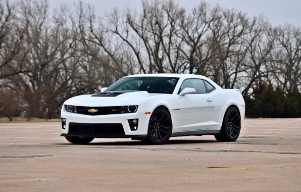 Picture white, muscle car, Chevrolet Camaro, 2013, ZL1