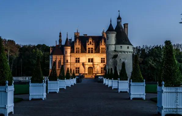 Picture trees, design, castle, lawn, France, the evening, garden, Chateau de Chenonceau