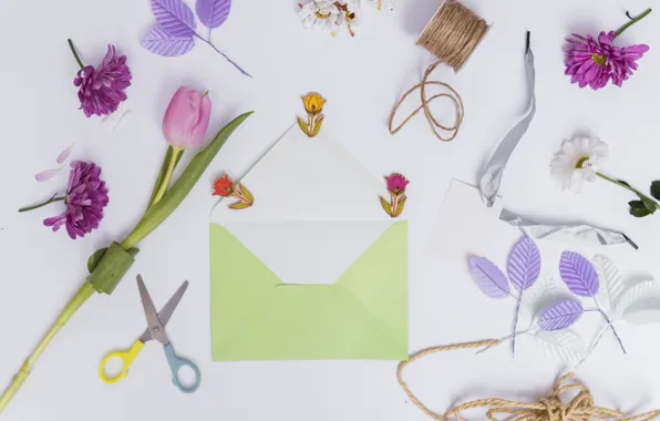 Picture leaves, flowers, Tulips, thread, scissors, Chrysanthemum, The envelope