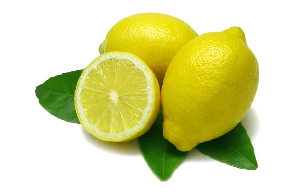 Picture lemon, citrus, the fruit