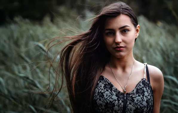 Picture grass, the wind, portrait, makeup, dress, hairstyle, brown hair, photoshoot, nature, bokeh, Saul Ke