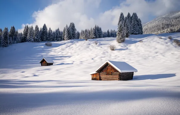Picture winter, forest, snow, Germany, Germany, Bavaria, sheds, Gerold