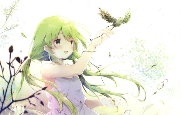 Picture Bird, Girl, Anime, Green hair