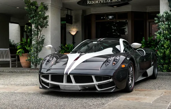 Picture Pagani, Carbon, Black, To huayr