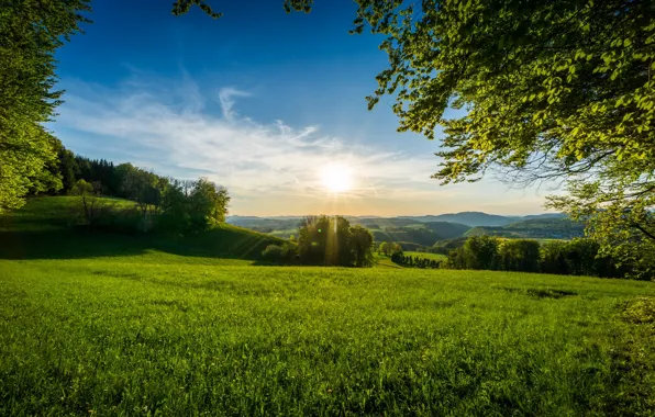 Picture the sky, grass, the sun, trees, morning
