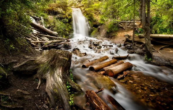 Picture forest, mountains, waterfall, river, Colorado, Rocky Mountains