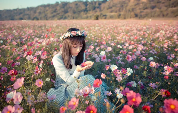 Picture field, girl, flowers, mood, meadow, Asian, wreath, kosmeya