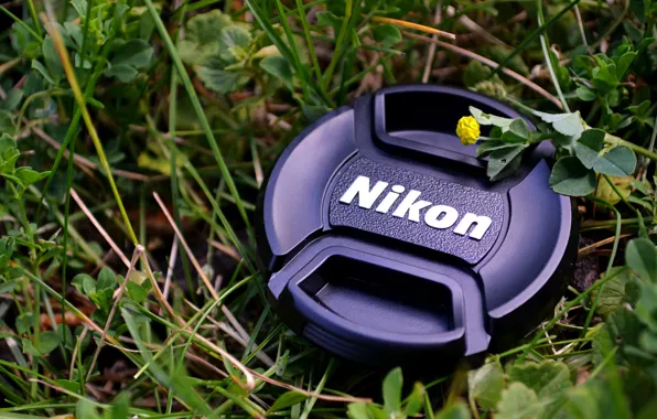 Picture Nikon, Grass, Macro