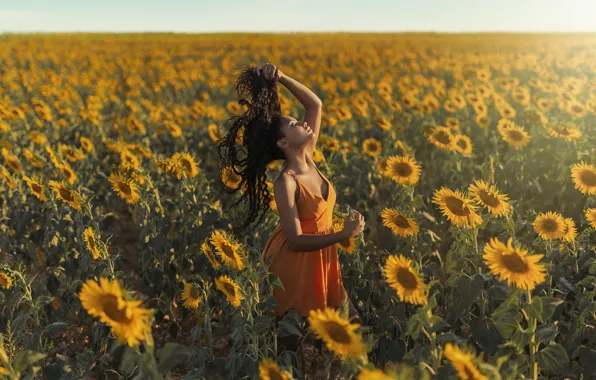 Picture field, girl, sunflowers, walk