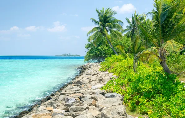 Picture sea, greens, the sky, the sun, tropics, stones, palm trees, horizon, The Maldives